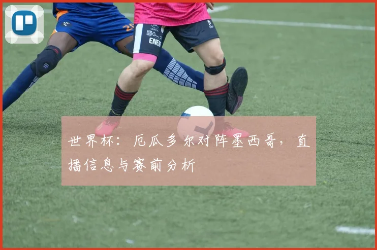 世界杯：厄瓜多尔对阵墨西哥，直播信息与赛前分析